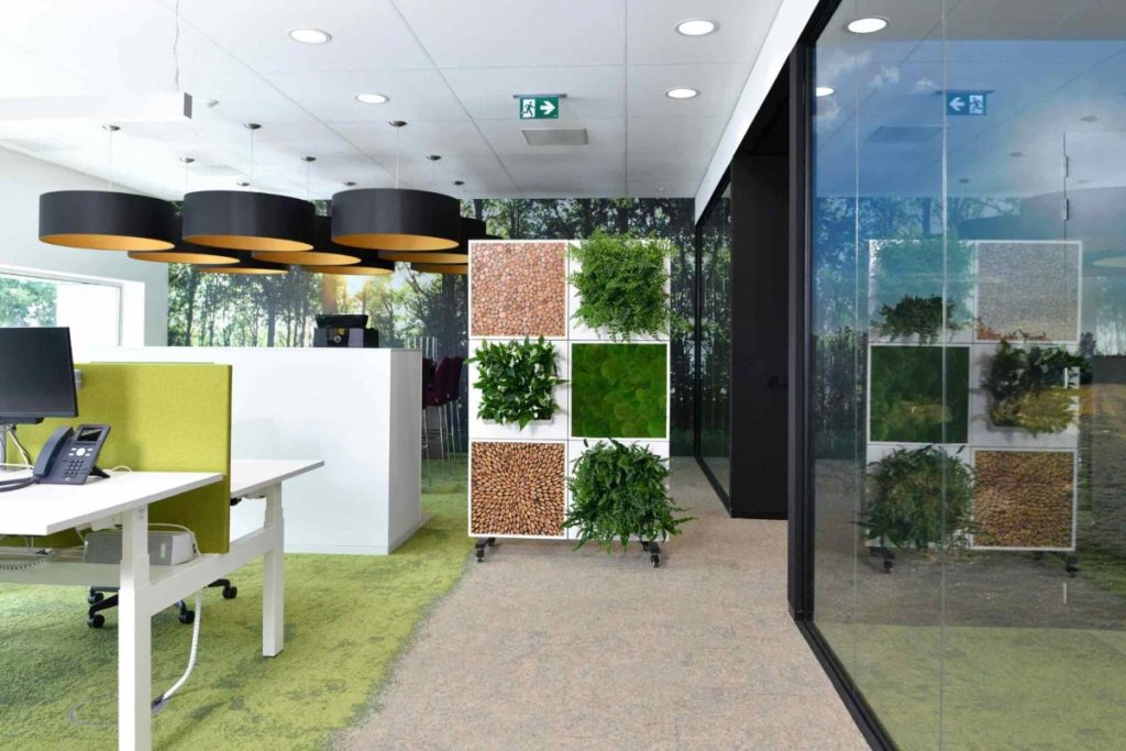 Raumteiler-im-Büro bepflanzt