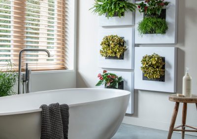 Pflanzenbilder im Badezimmer an der Wand hinter einer Badewanne