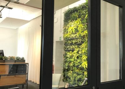 Pflanzenwand im Büro
