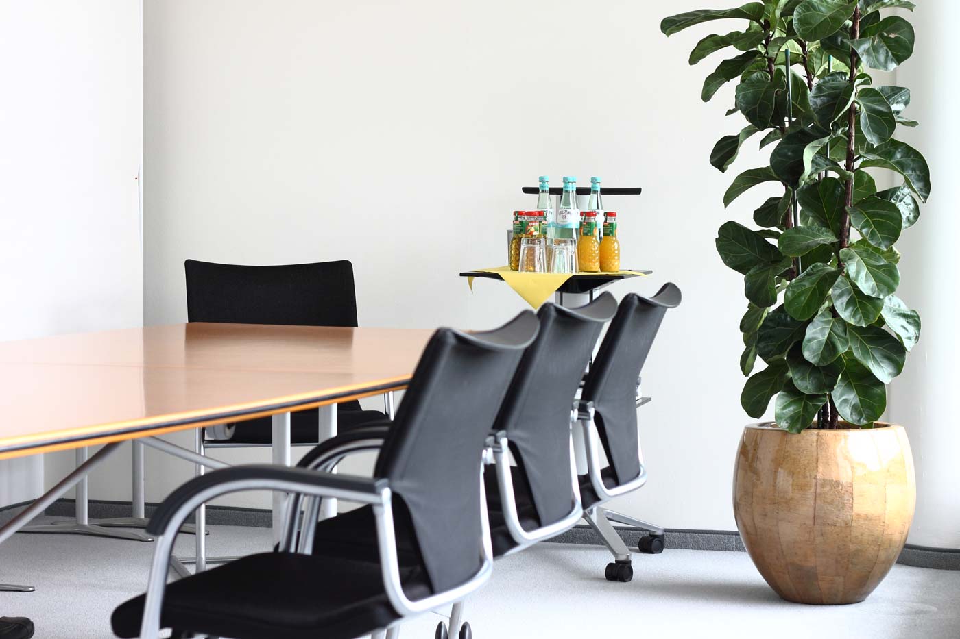 Besprechungsraum mit ovalem Pflanzgefäß