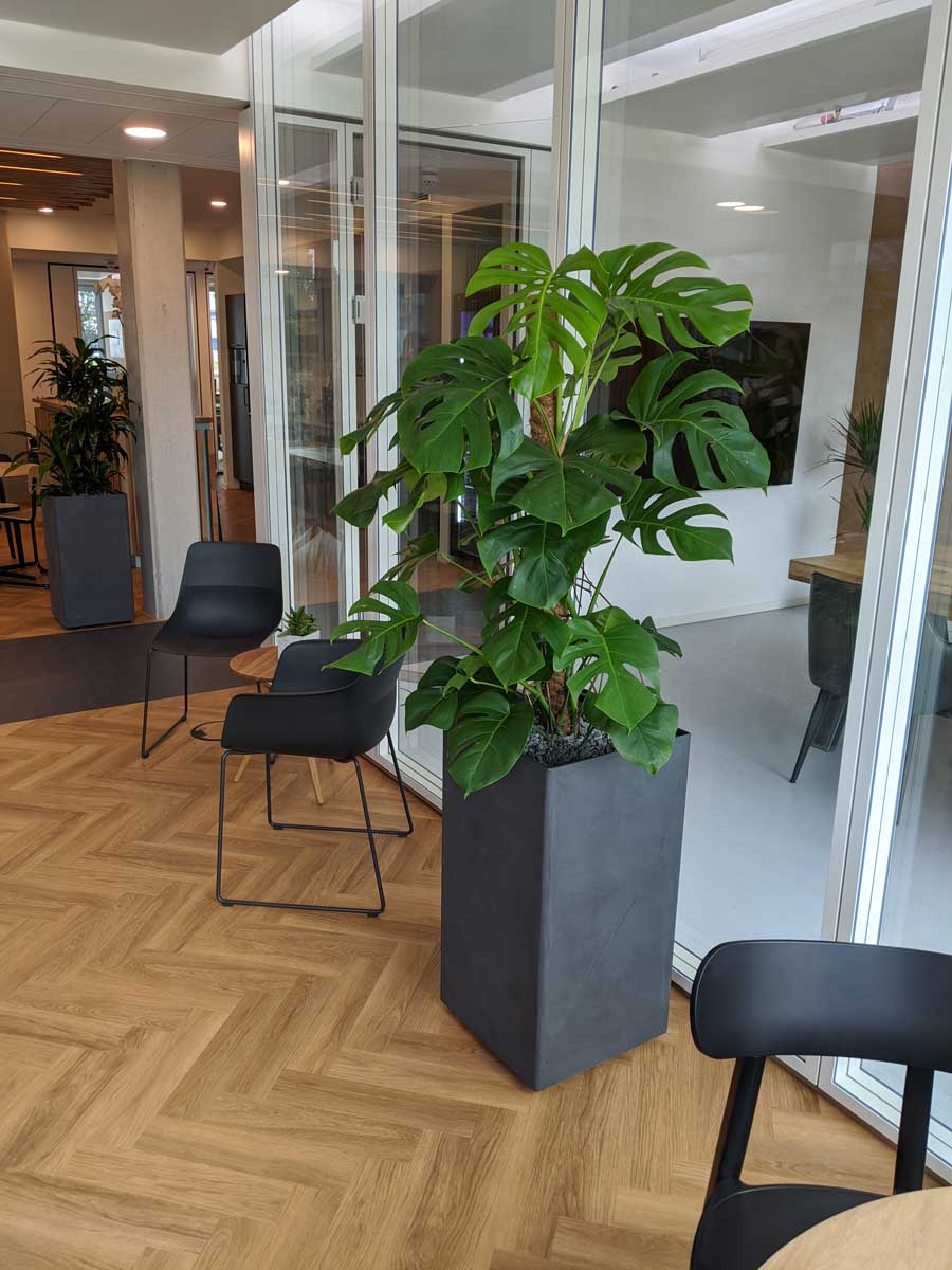Bepflanztes Recycling Gefäß